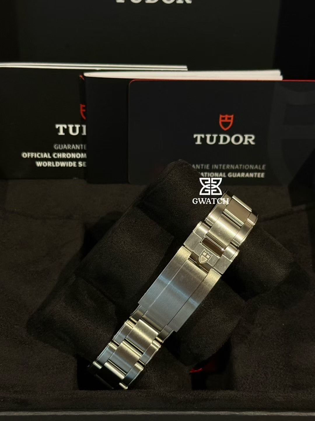 Tudor 79470 Black Bay Pro